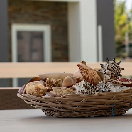 Villini Florence Villa *